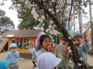 春が来た ♫ &先生クイズの答え合わせ！（出口・森川）