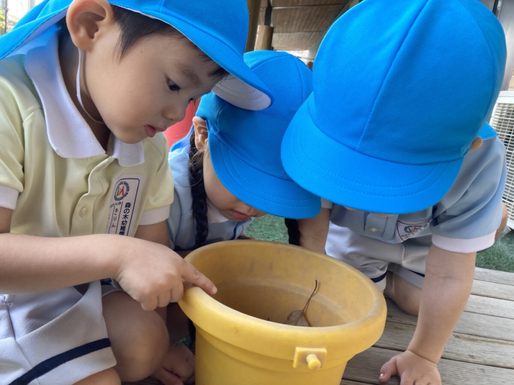 今日は何をしたかな？＆木戸先生おめでとう！（真﨑・岡本）