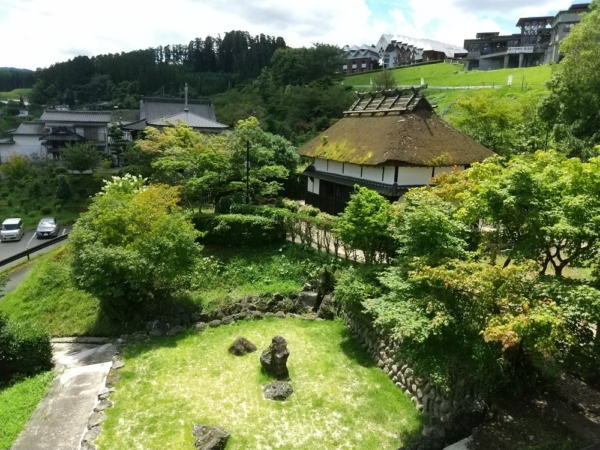 もみの木：北里柴三郎（鷹取）