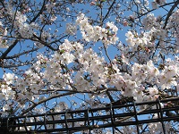 20110401BUROGU5.jpg