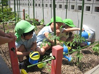 20110519nennchuu.jpg