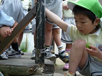 20110607tonbo.jpg