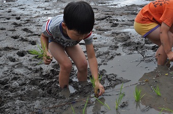 20120625taue9.jpg