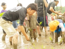 男の浪漫～田植え～